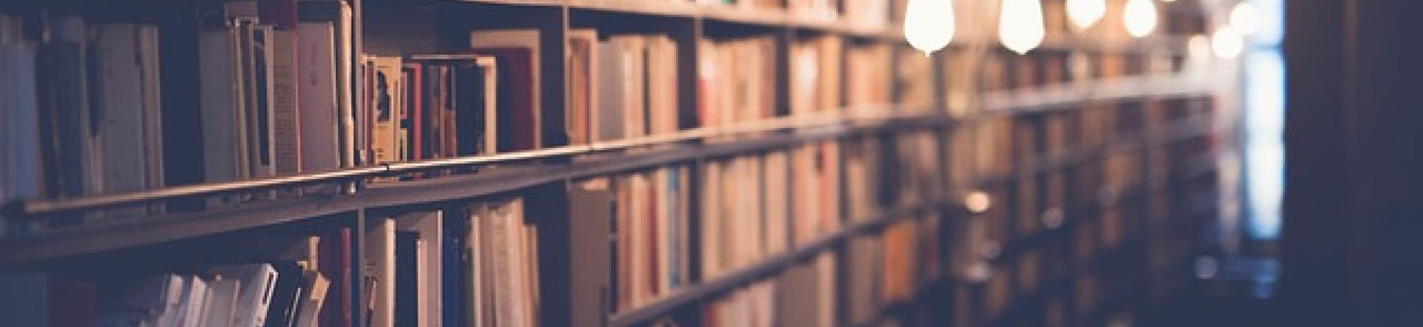 Books in shelf with light